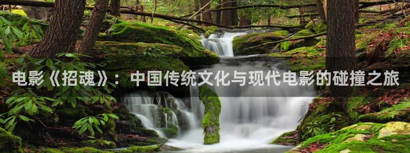 hp在线观看免费版西瓜
