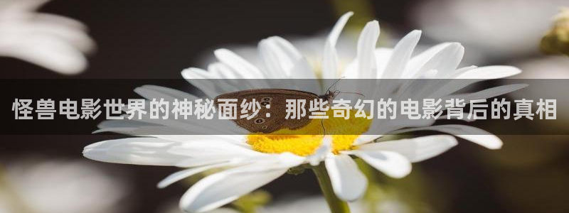西瓜伦理大全