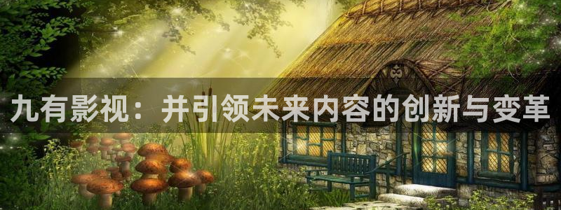 影视西瓜