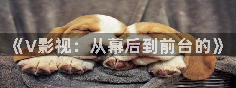 天生一对免费观看完整版西瓜