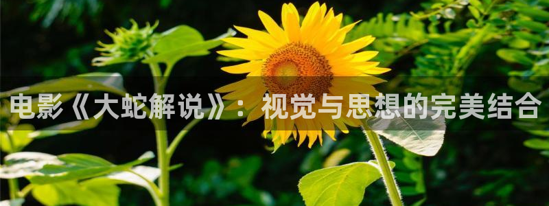 御赐小仵作免费观看西瓜