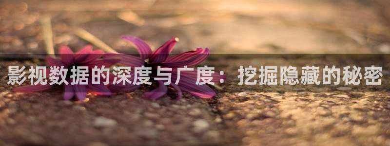 我的后半生免费观看西瓜网