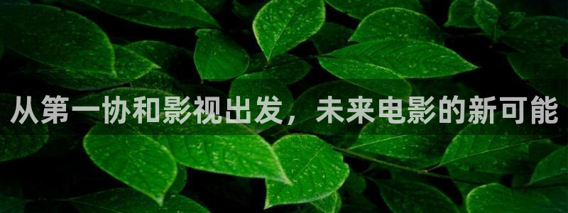 情链泰剧在线观看全集免费西瓜
