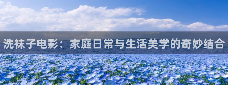 西瓜视步