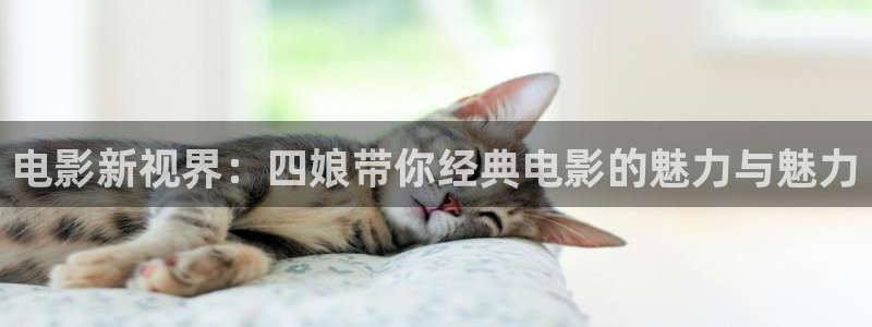 完美关系免费观看西瓜