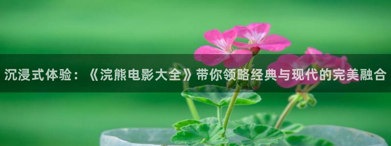 暴风眼免费观看西瓜