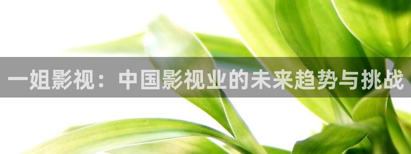下载西瓜影院
