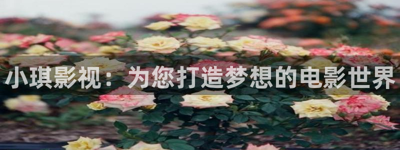西瓜神马影院