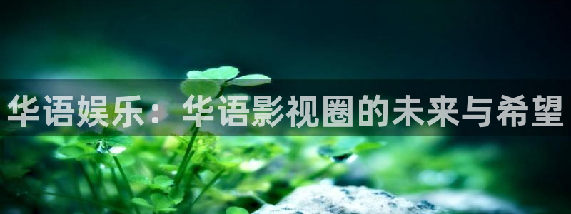 西瓜免费影视网