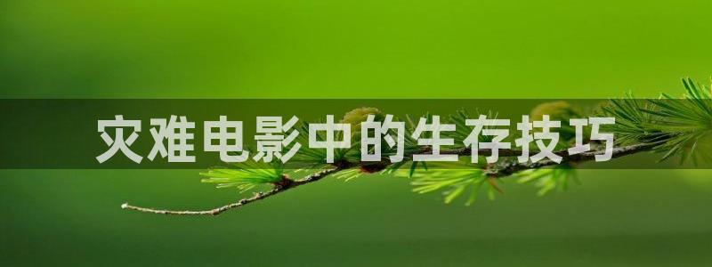 飘雪电影在线观看西瓜影院