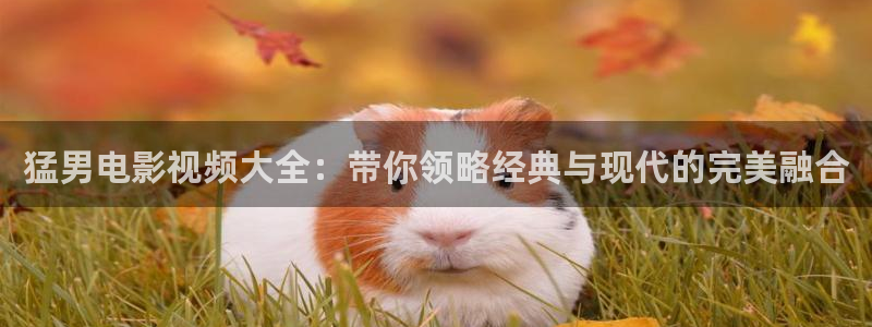 三叉戟全集在线观看西瓜