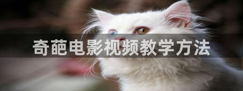 西瓜电视