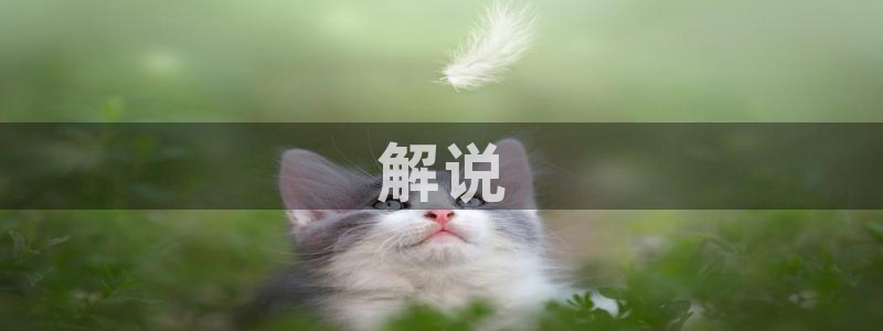 金桔影院免费观看电视剧高清西瓜