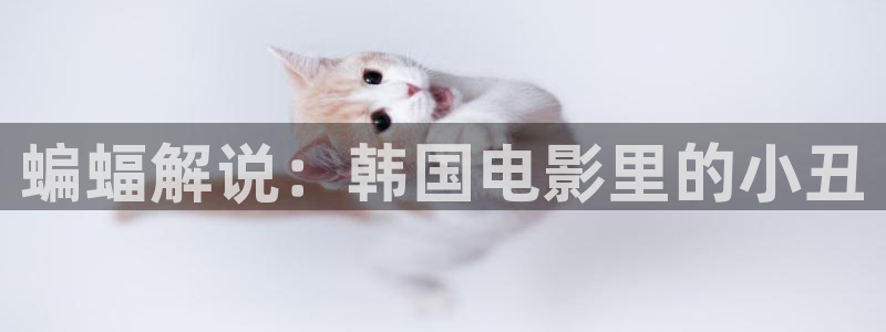 西瓜电影在线观看网