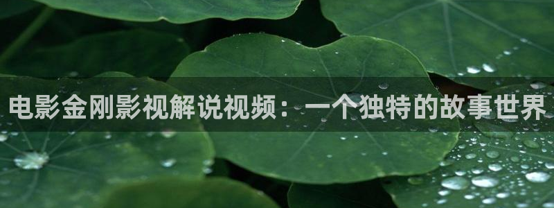 西瓜论理电影
