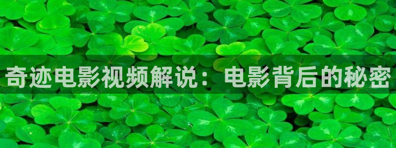 西瓜影院剧情