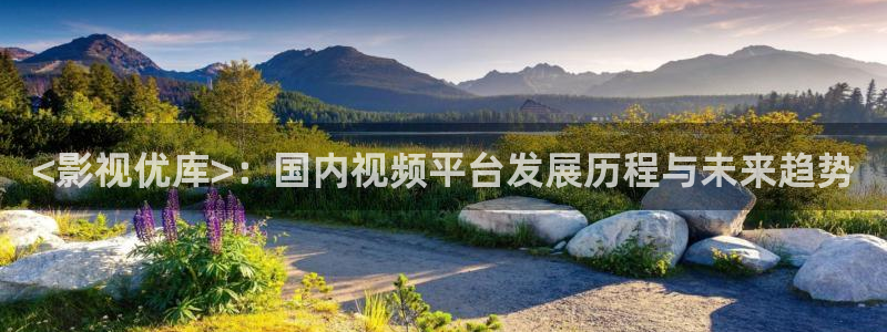 潜伏免费观看西瓜