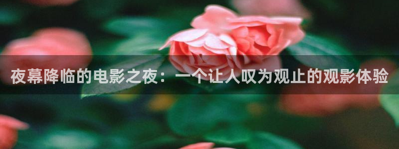 舍我其谁电视剧免费观看西瓜