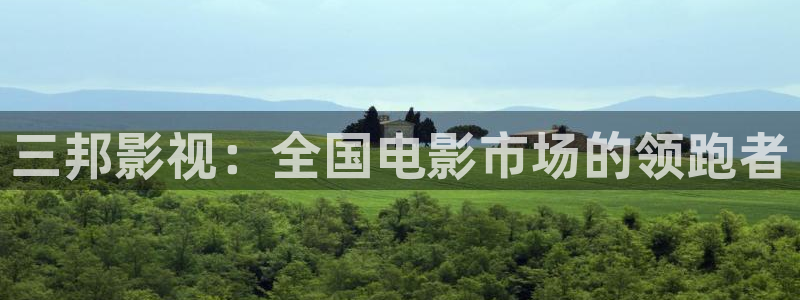 大西瓜影城