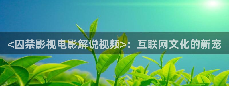 太阳后裔西瓜全集免费