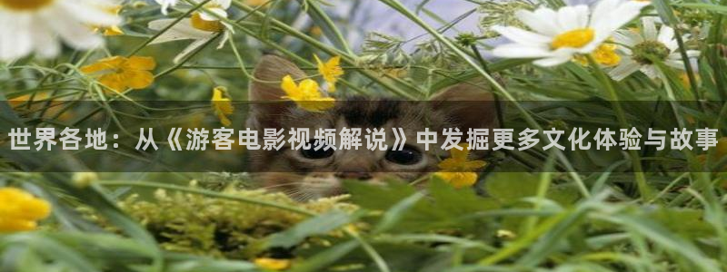 青柠在线电视剧免费观看西瓜影院