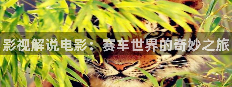 霜花店西瓜在线
