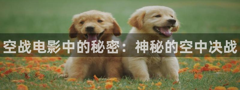 还珠格格第二部西瓜影院