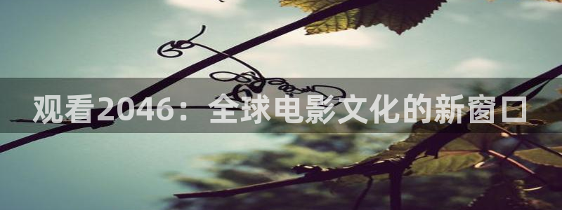 新闻图片